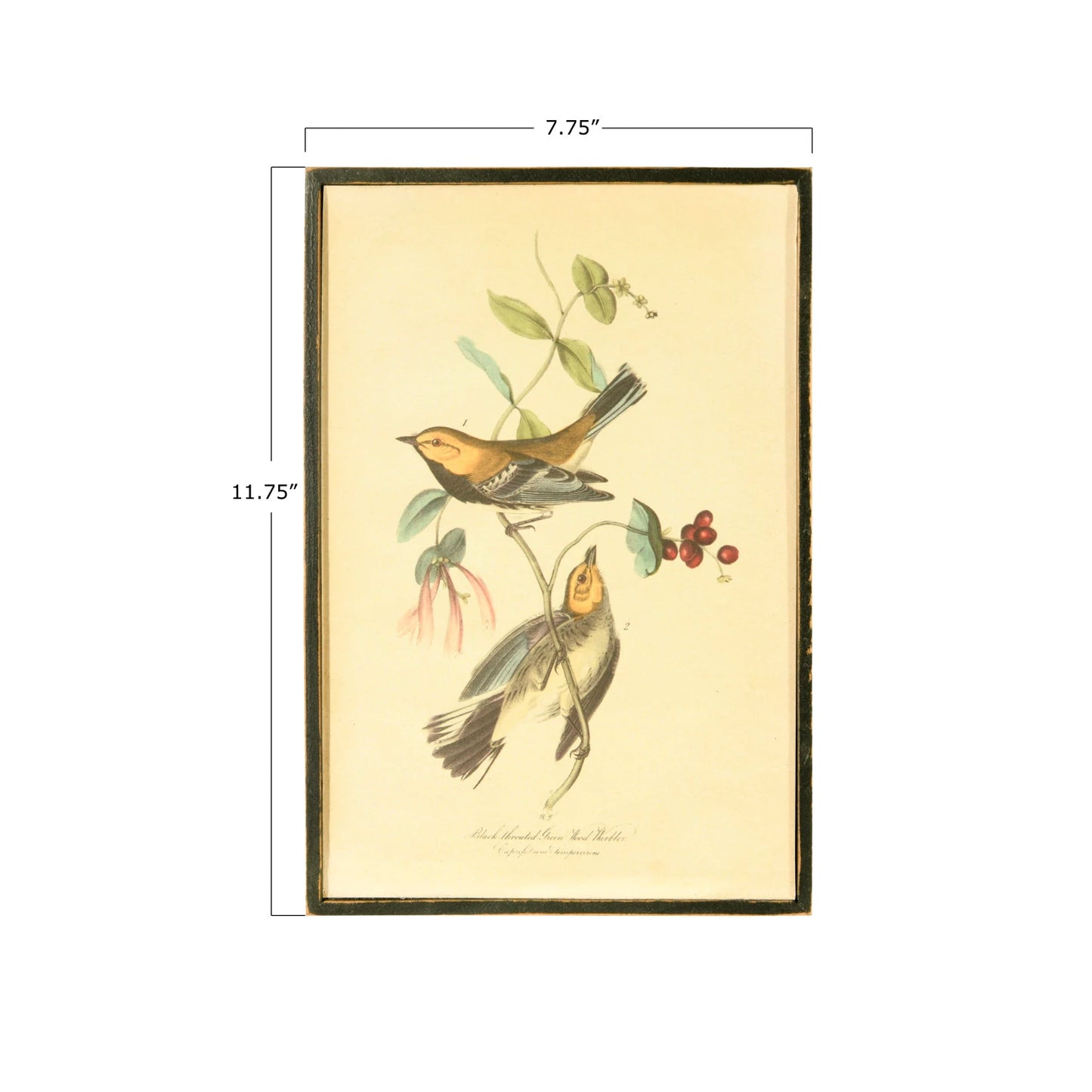 Birds of Flower Framed Wall Prints