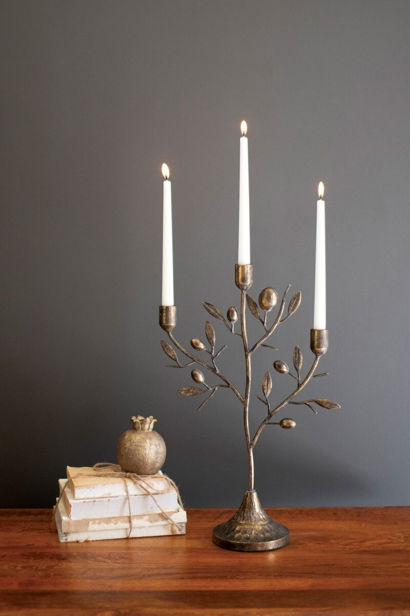 Fruit Tree Taper Holder