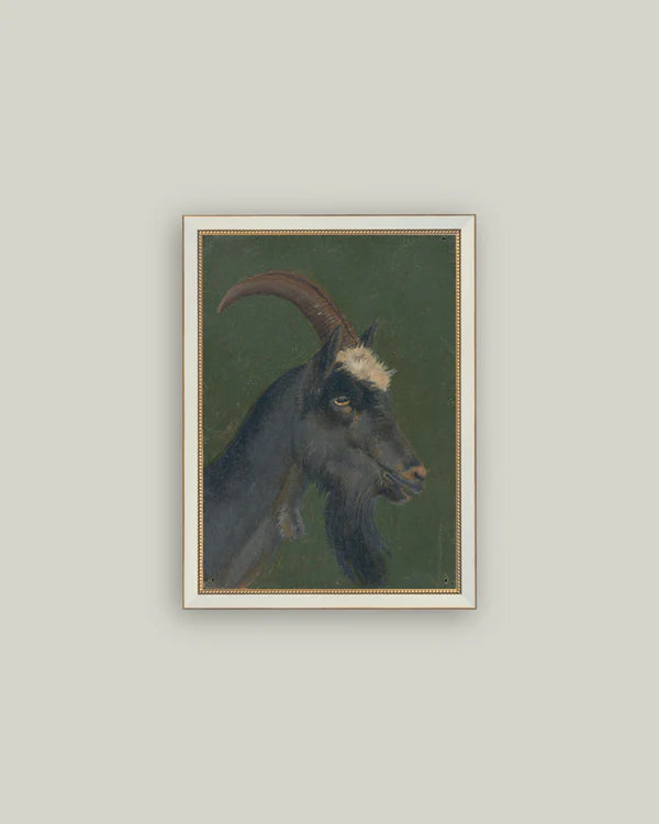 Framed Goat Print