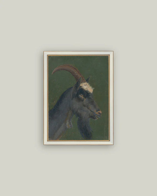 Framed Goat Print