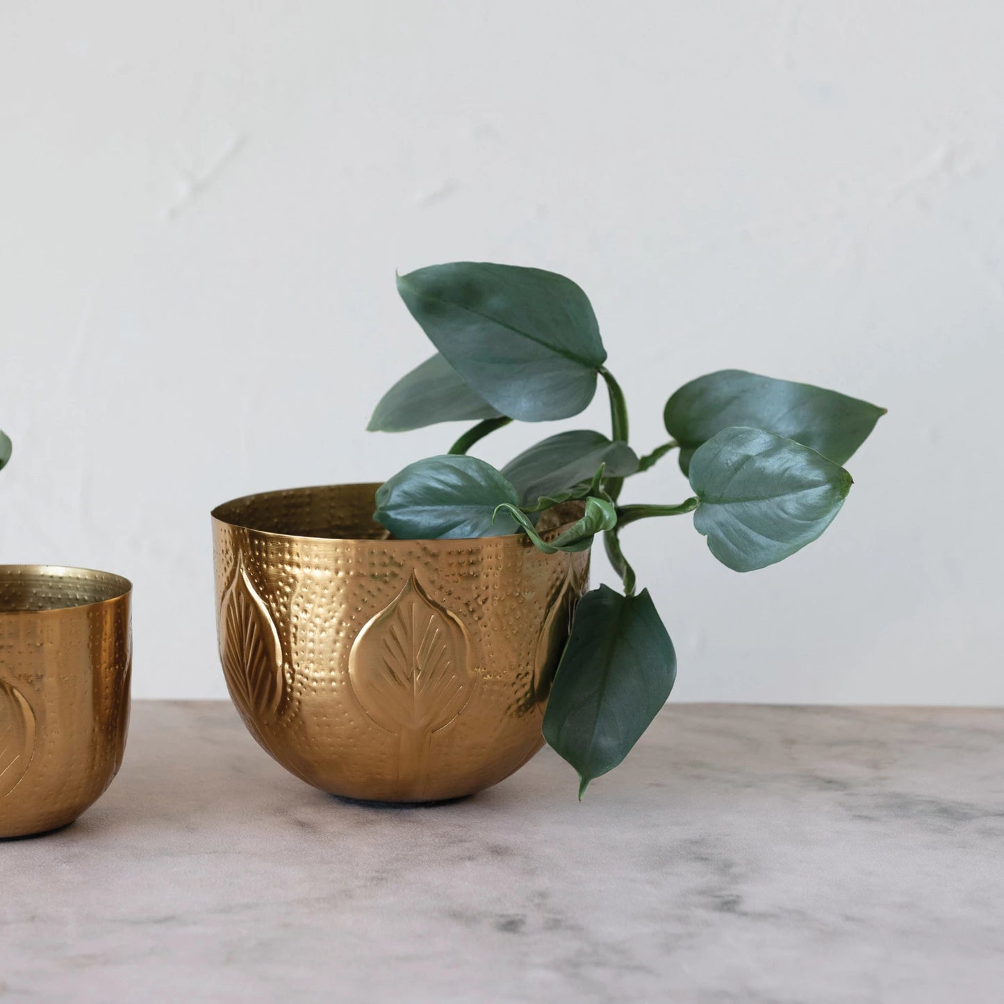 Gold Planters