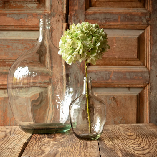 Green Hydrangea Stem