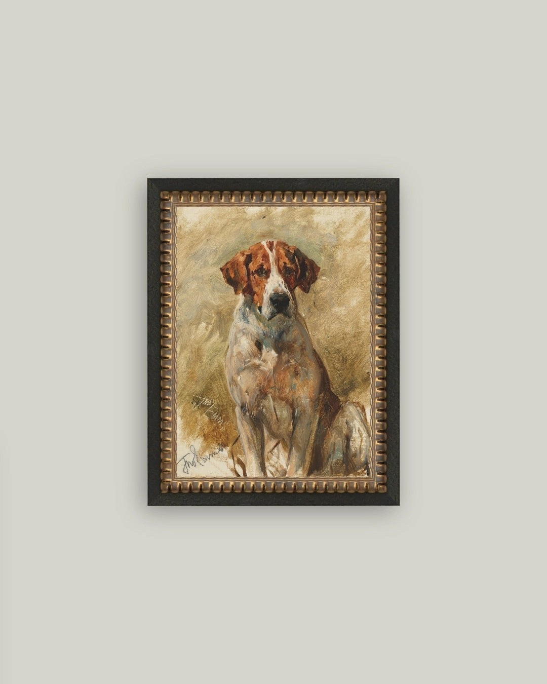 Hound Portrait
