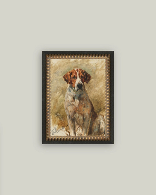 Hound Portrait