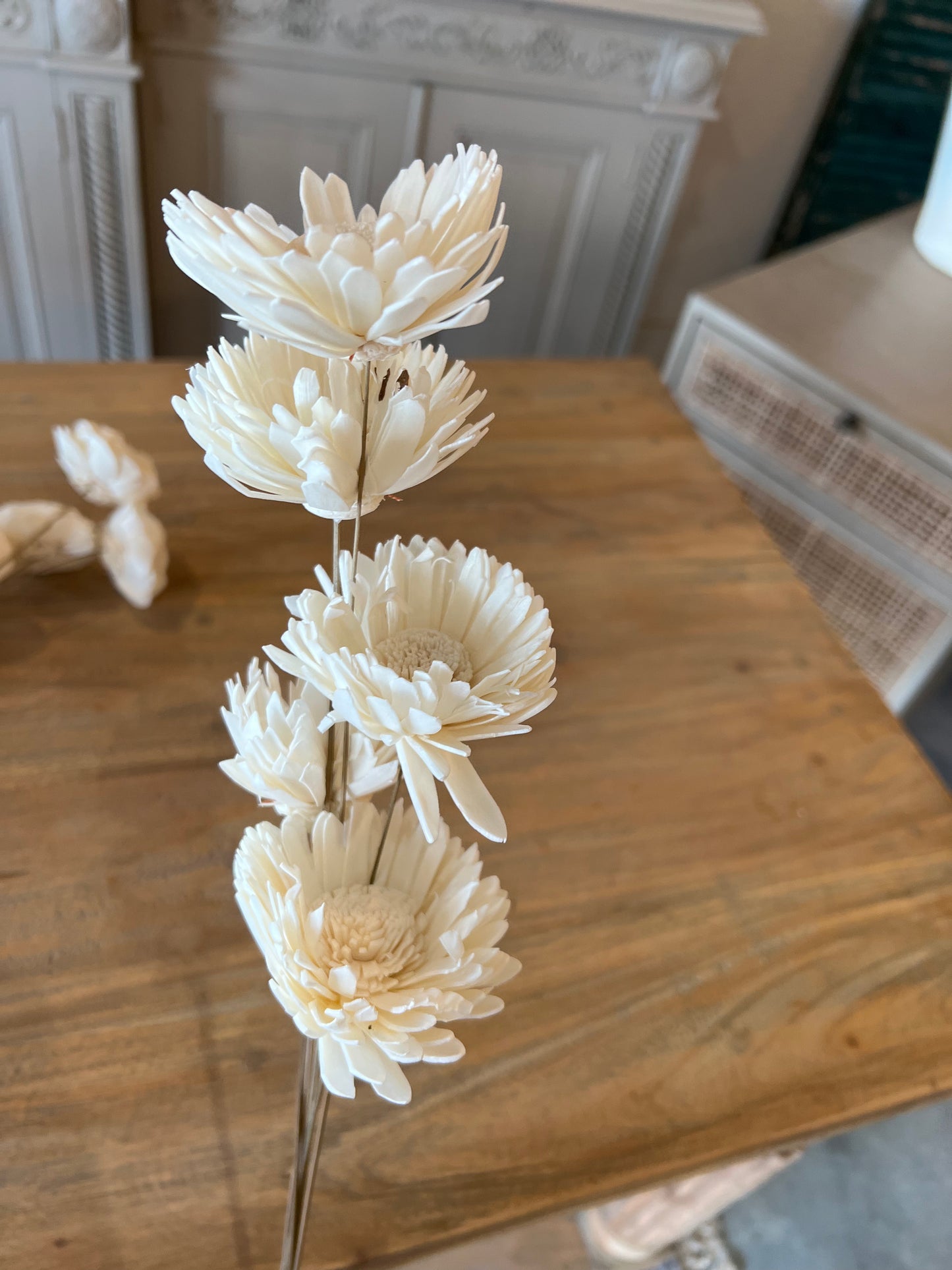 White Sunflowers