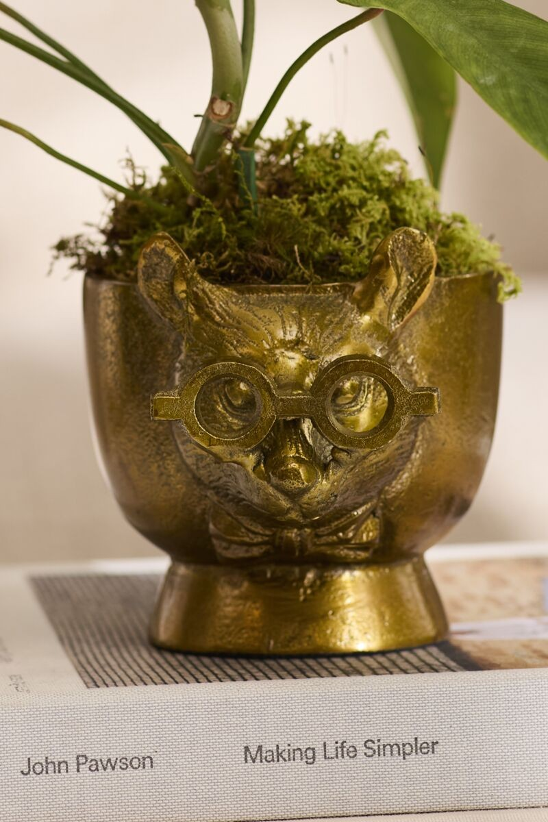 Louie Pot