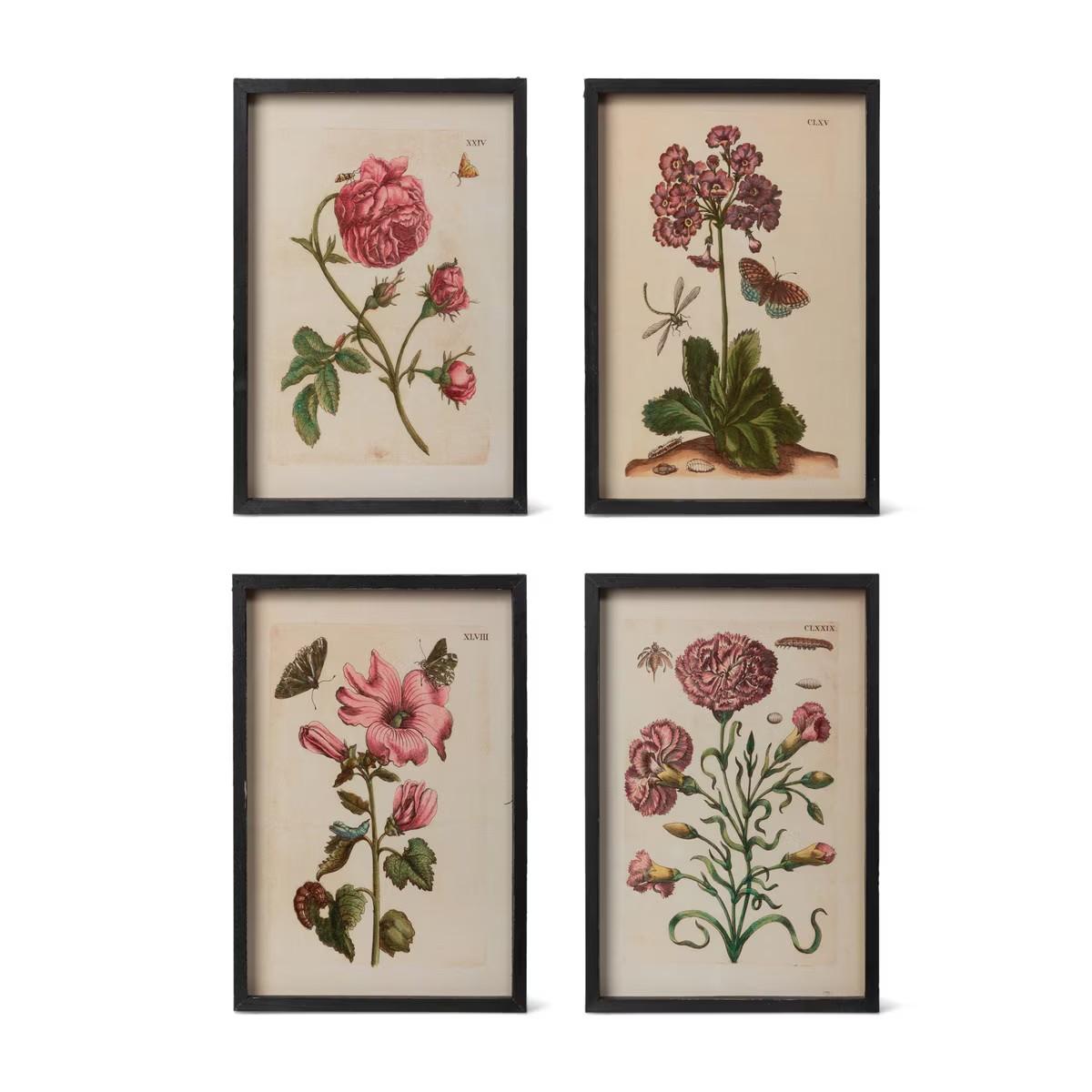 Jardin Botanical Prints