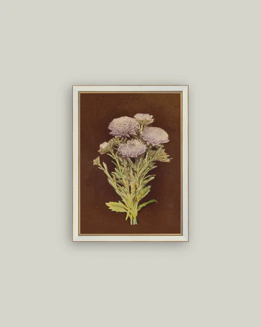 Framed Lilac Dahlia