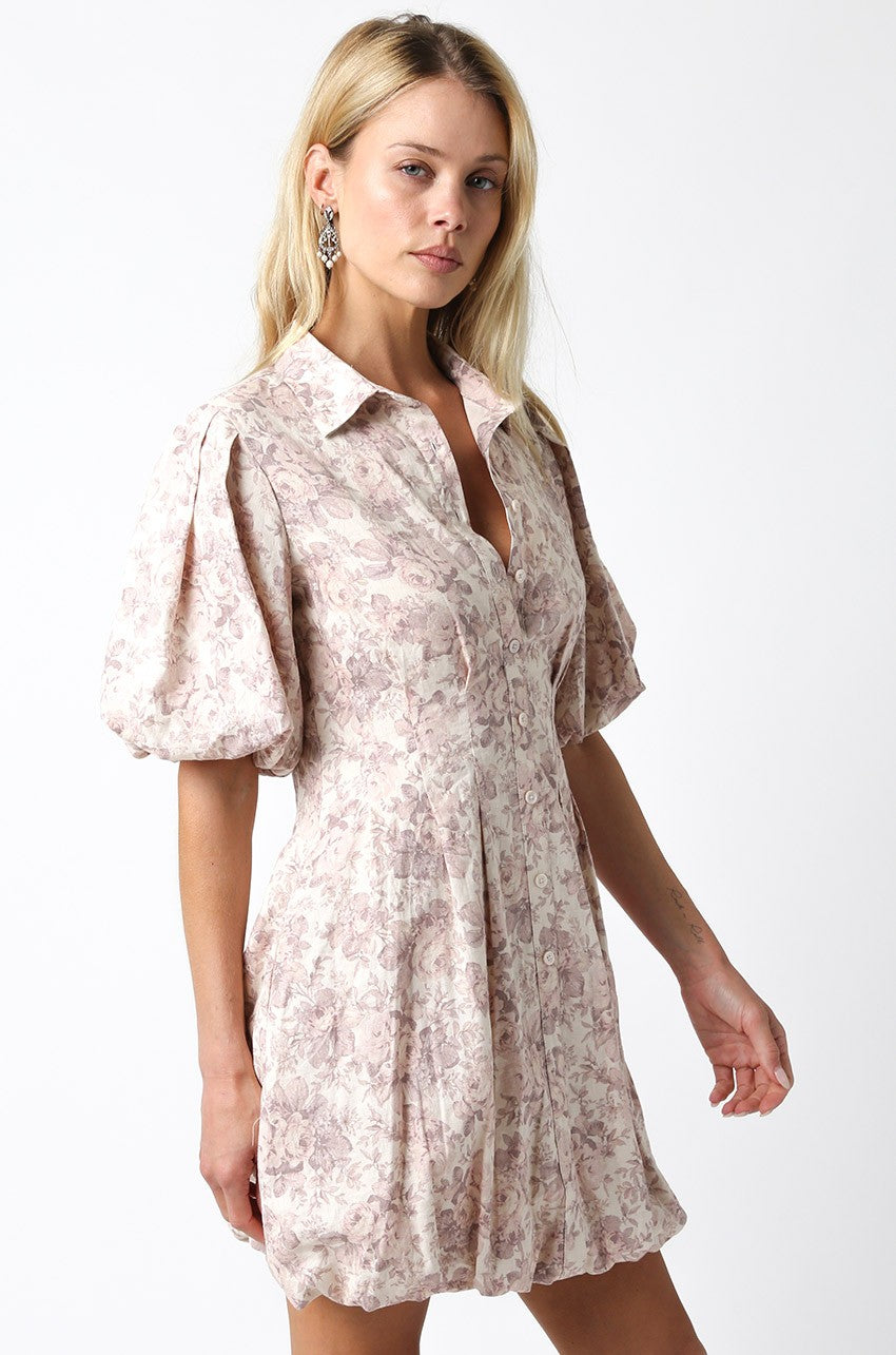 Sophia Floral Dress