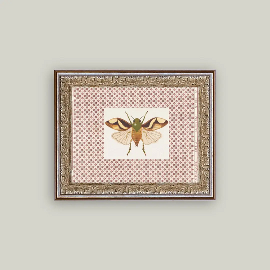 Framed 2 Layer Moth
