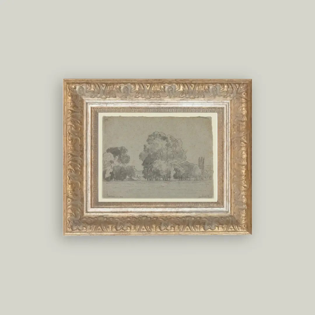Grove of Trees Framed Print