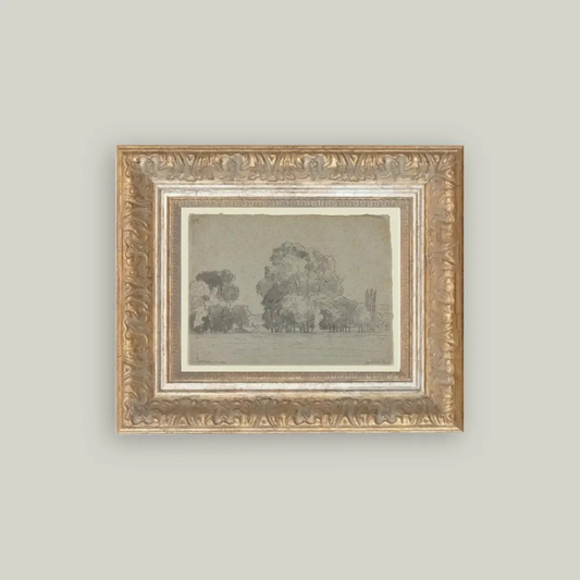 Grove of Trees Framed Print