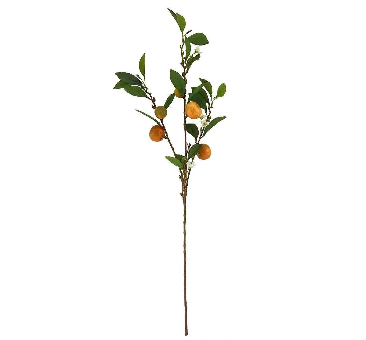 Honey Tangerine Branch