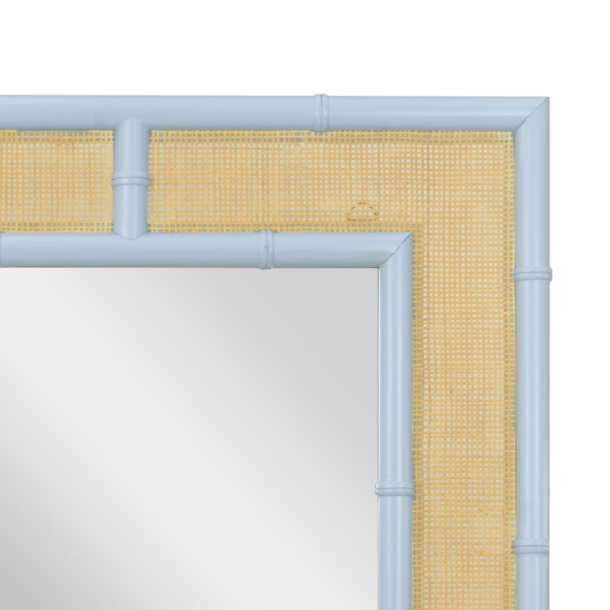 Palm Rectangular Cane Mirror