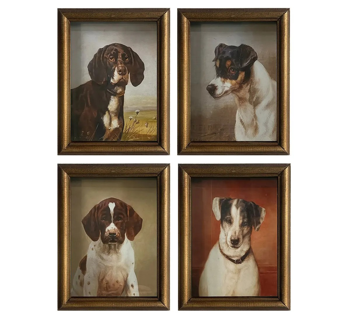 Puppy Dog Portrait