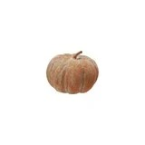 Orange Harvest Pumpkin