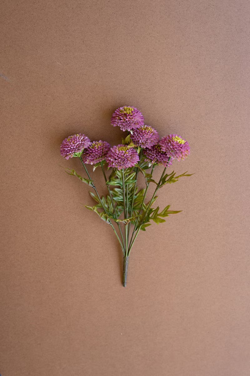 Zinnias Stem