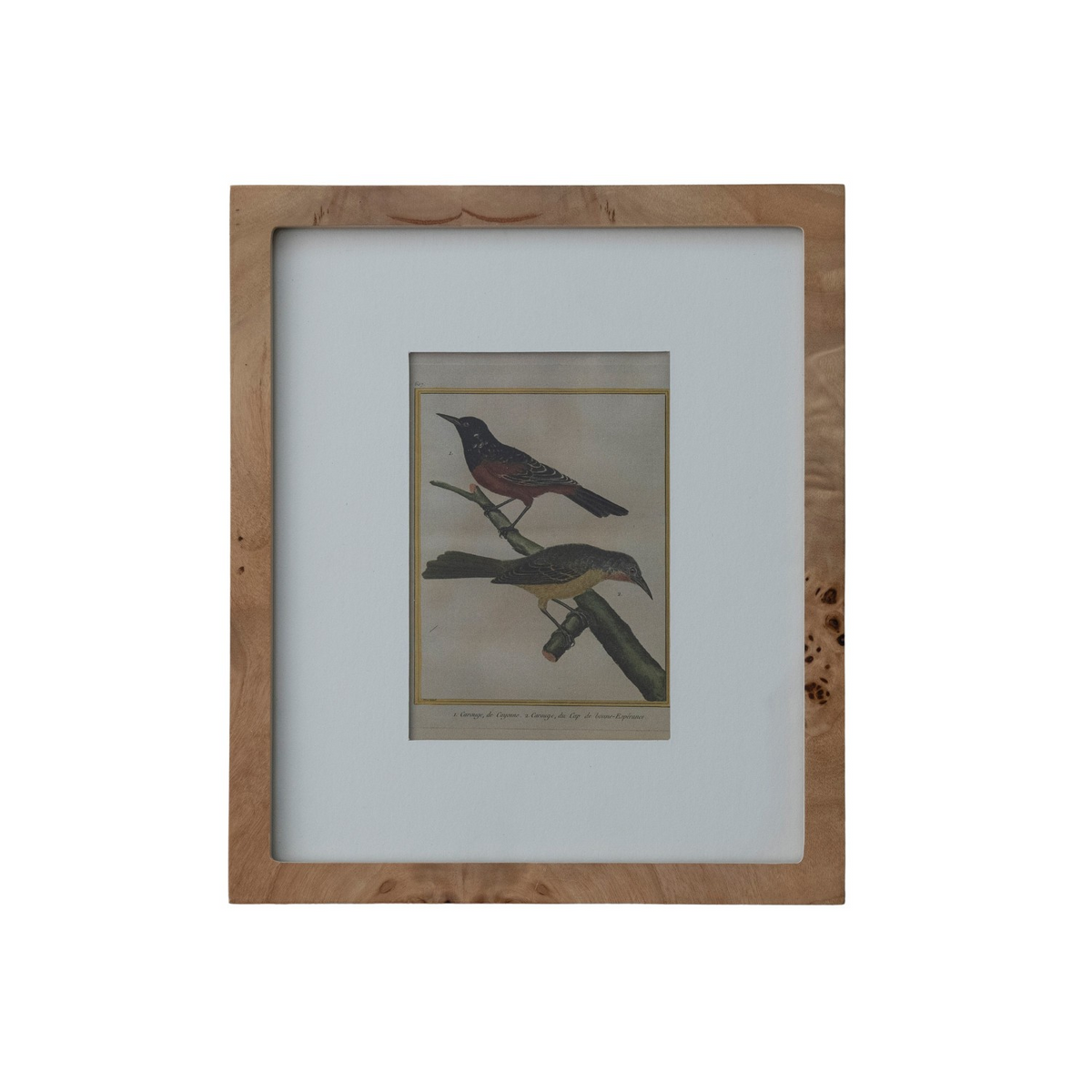 Birds in Burl Wood Frame
