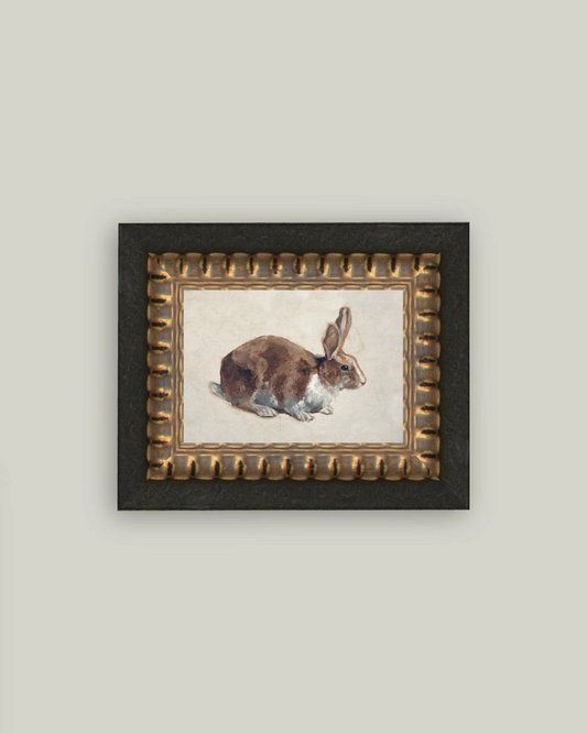 Rabbit Portrait