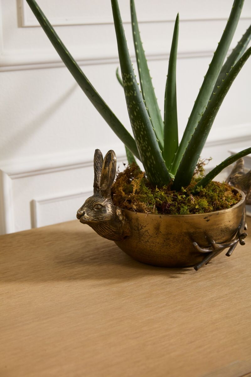 Fox & Hare Bowl