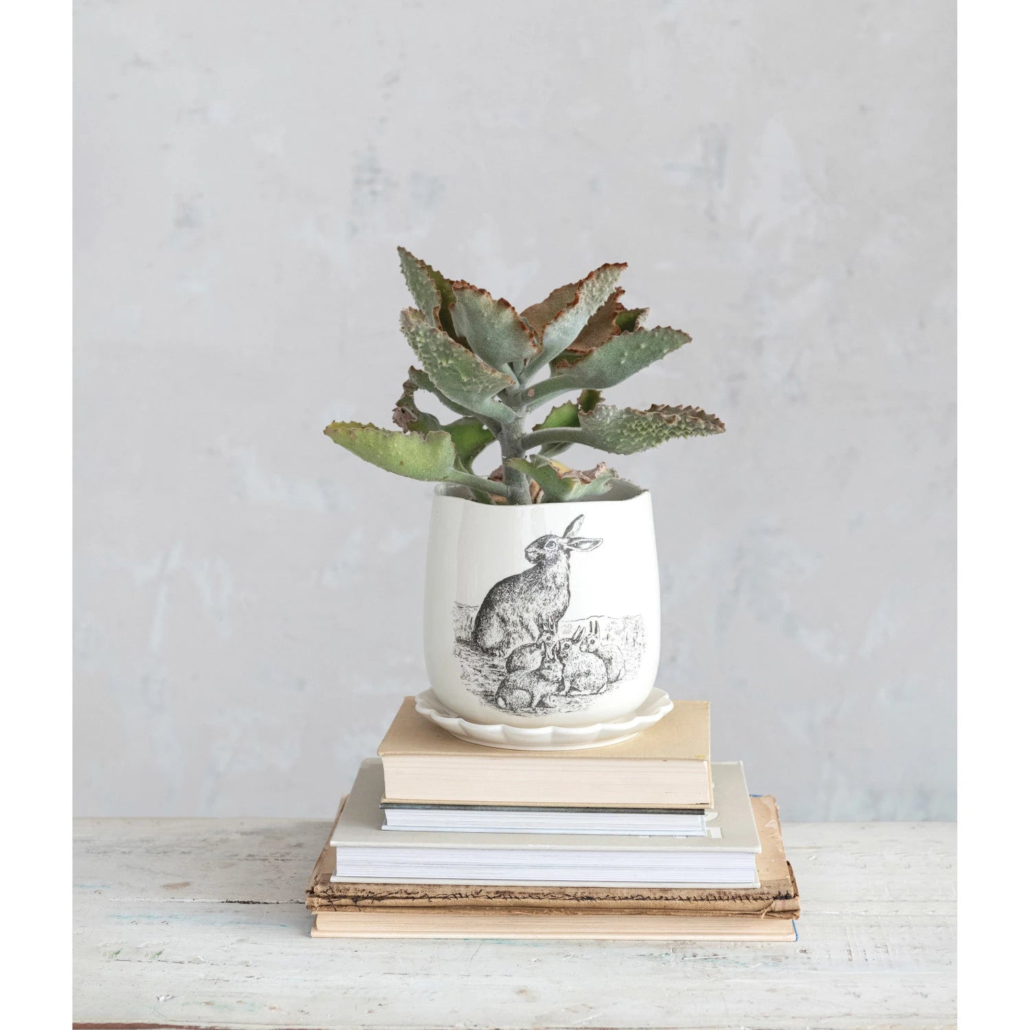 Rabbit Planter – The Blended Bungalow