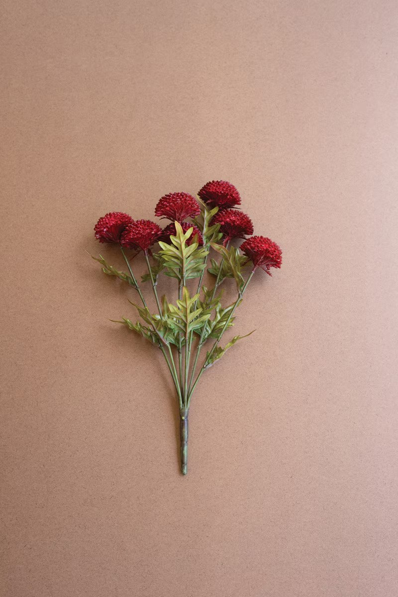Zinnias Stem