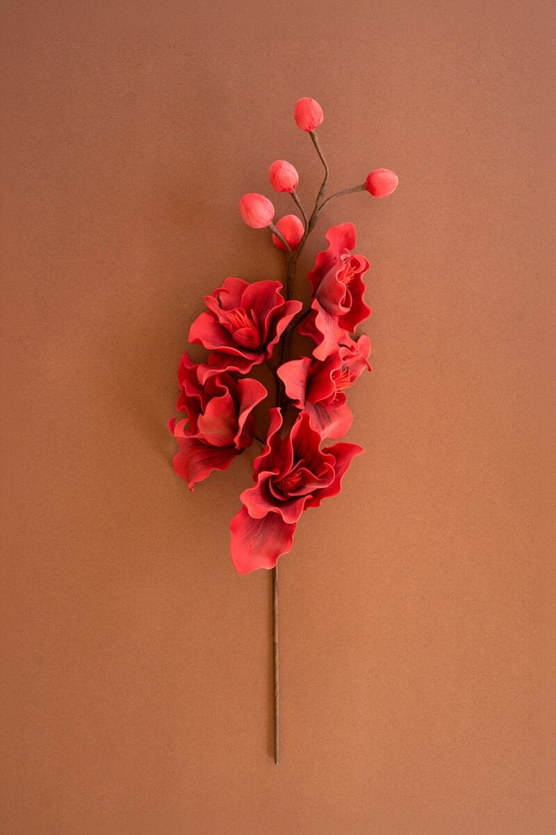 Red Botanical