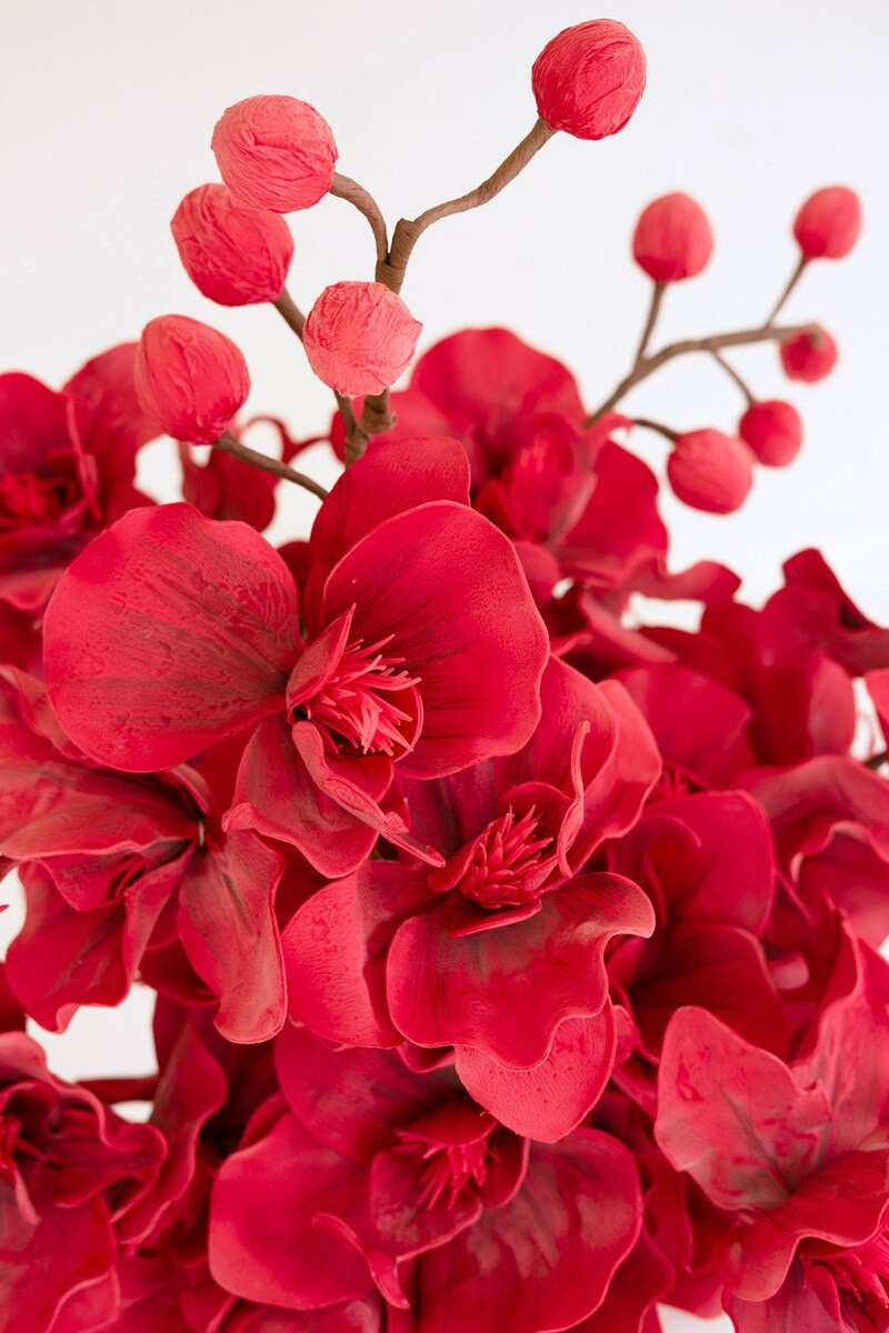 Red Botanical