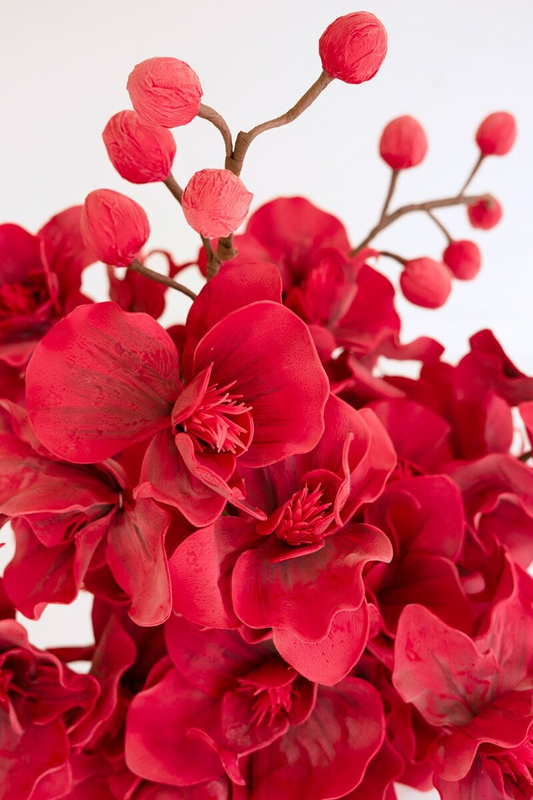 Red Botanical
