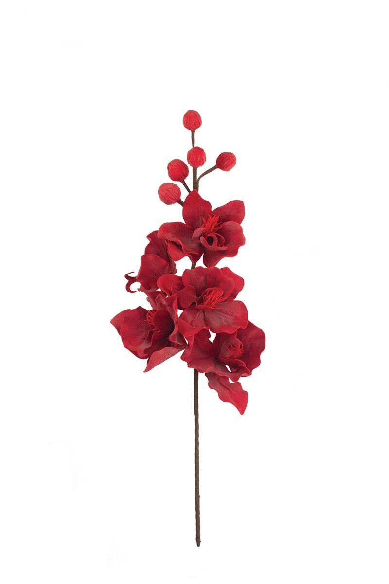 Red Botanical