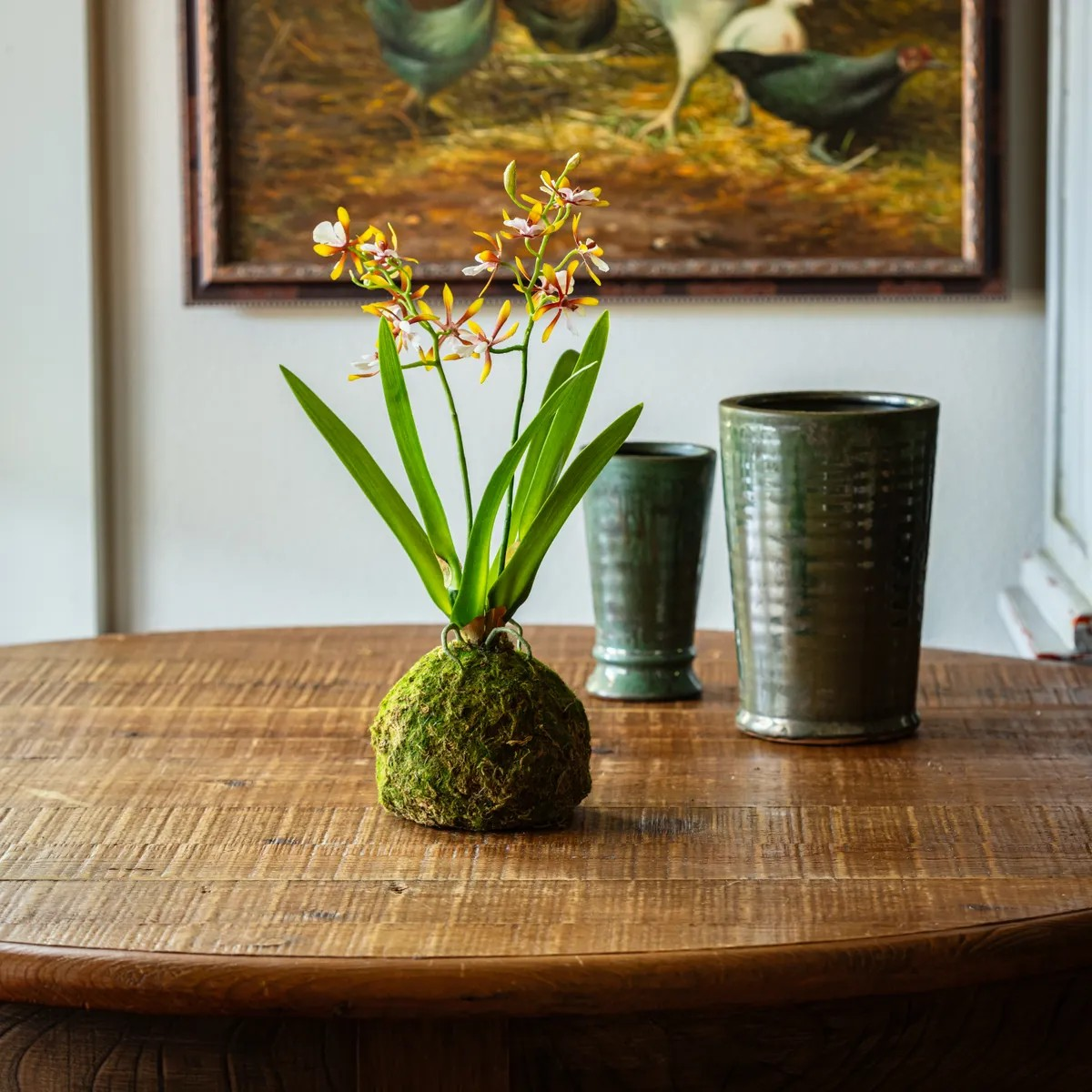 Vanda Orchid in Moss Ball Golden Amethyst