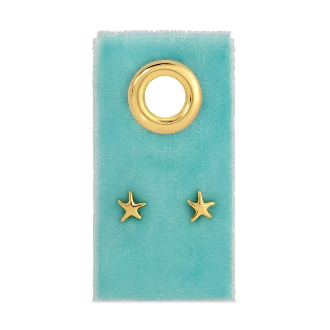 Starfish on Velvet