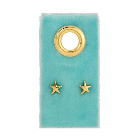 Starfish on Velvet
