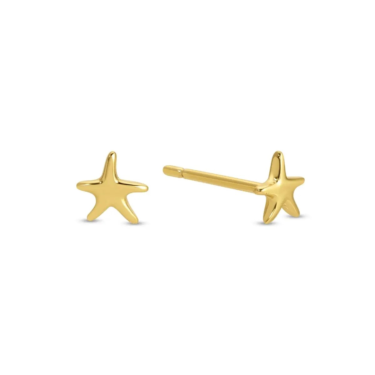 Starfish on Velvet