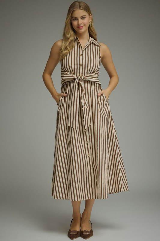 The Belmont Stripe Dress