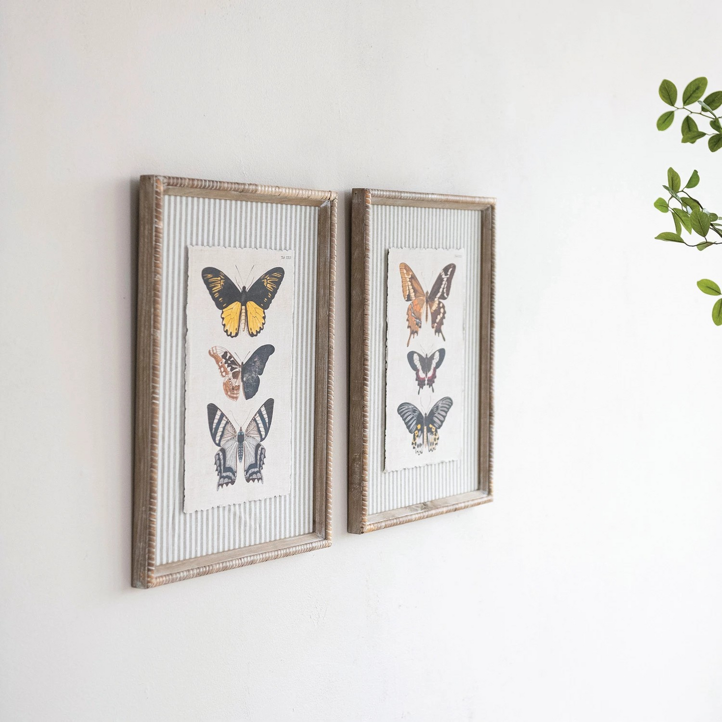 Striped Butterfly Framed Art