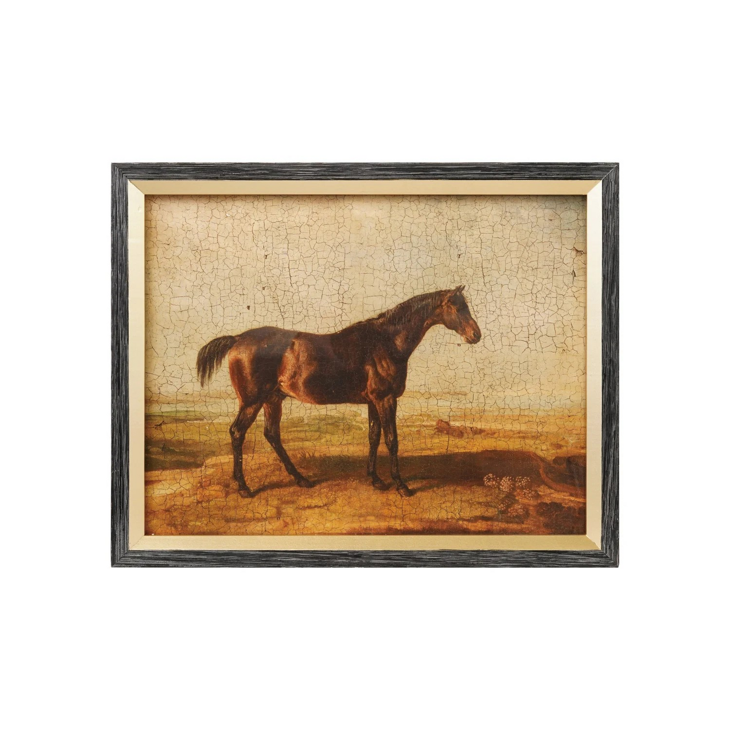 Framed Horse Print