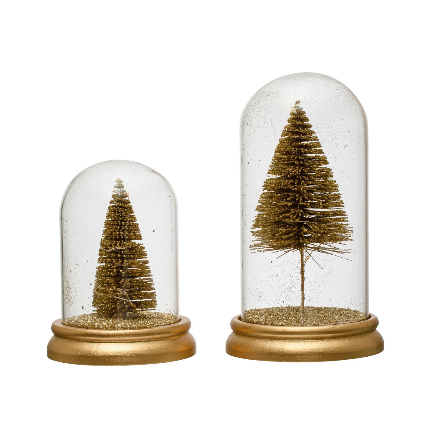 Cloche Enclosed Bottle Brush Tree