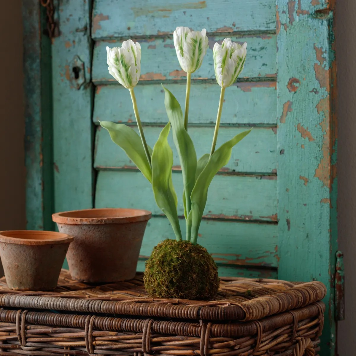 White Tulip Moss Ball