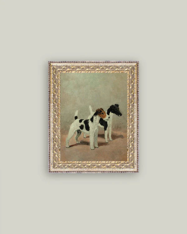 Fox Terriers