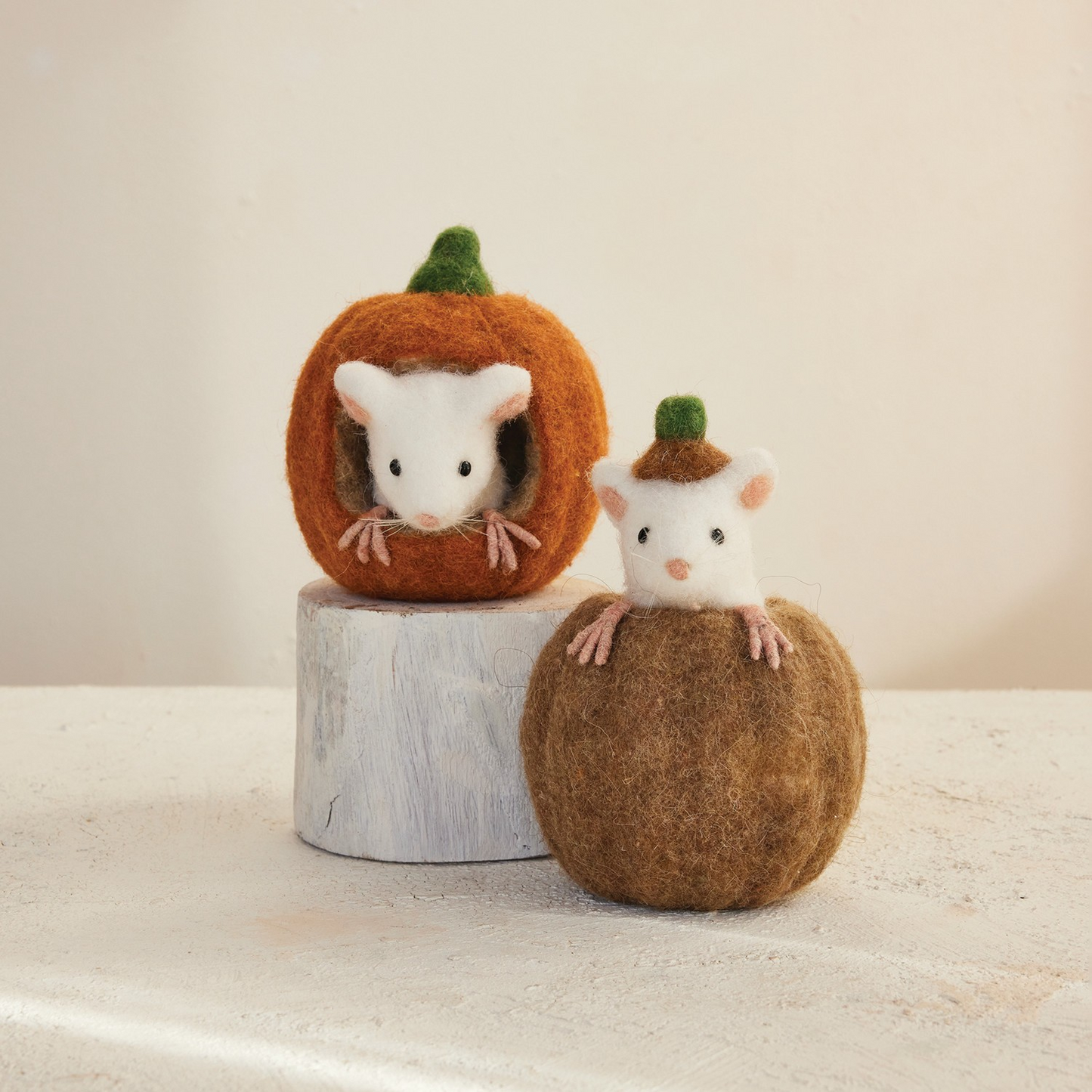 Halloween Mouse in Pumpkin