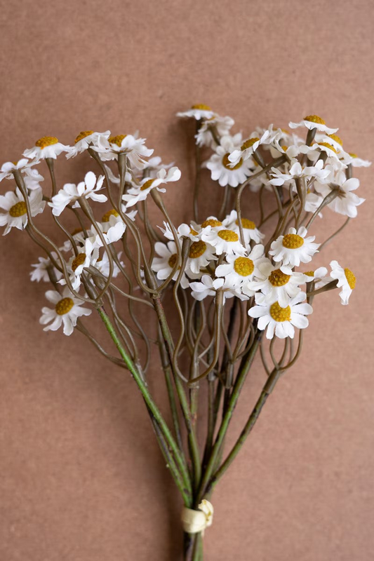 Chamomile Bundle