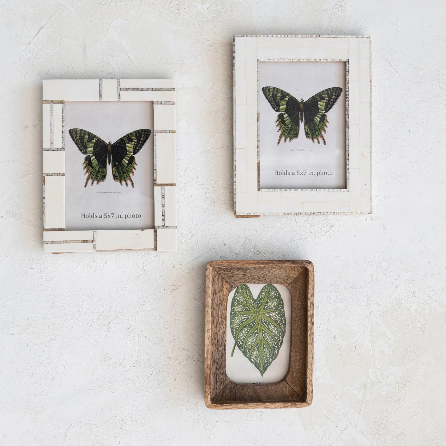 Ivory Picture Frames