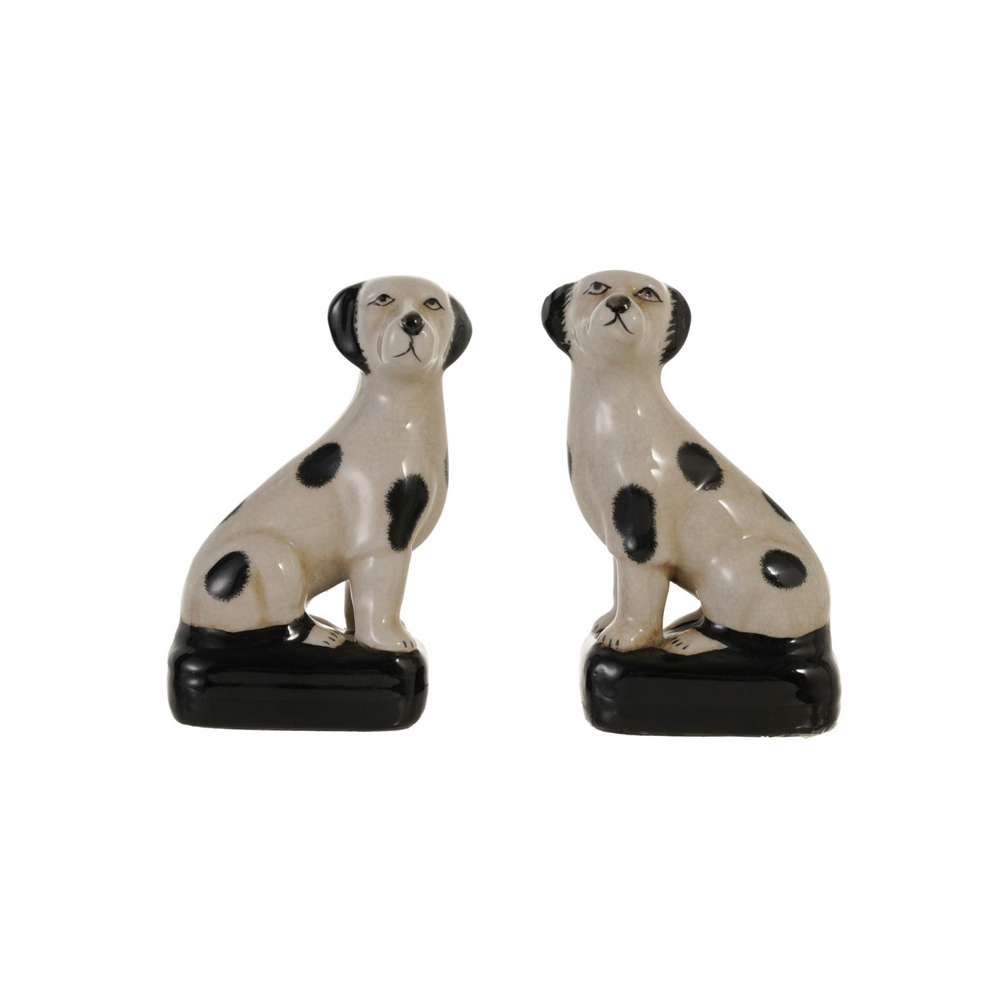 Hand-Painted Black and White Dog