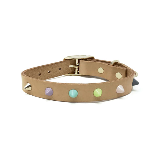 Pastel Spiked Dog Collar