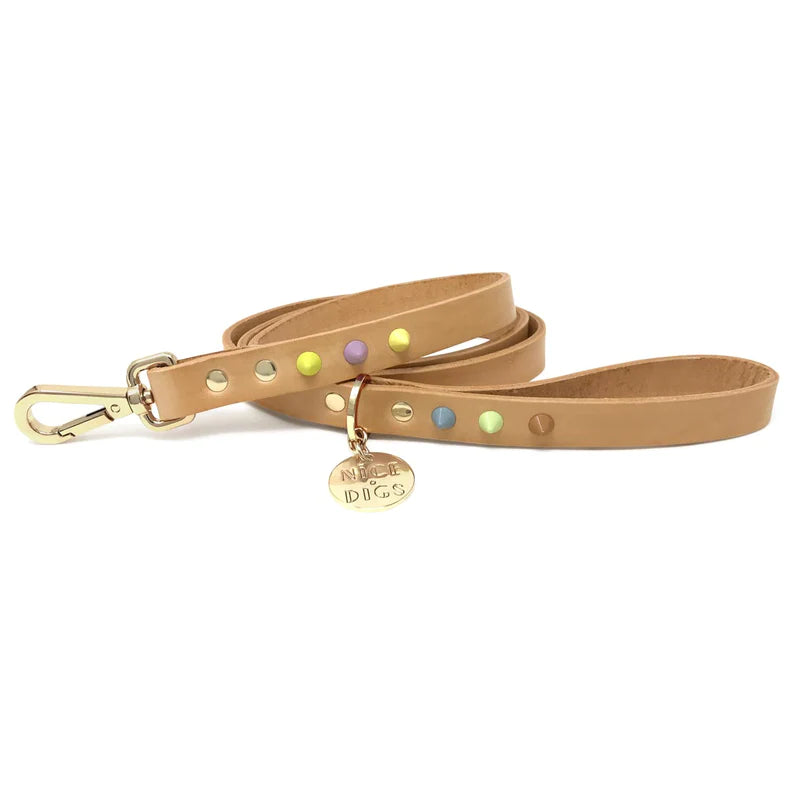 Sorbet Dog Collar
