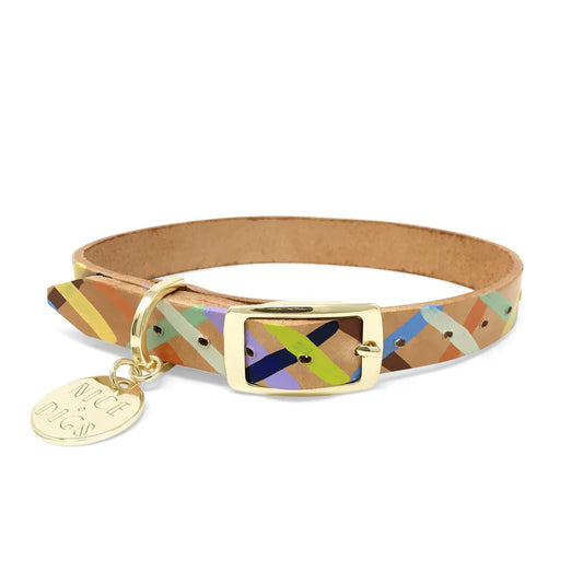 Sunday Best Dog Collar